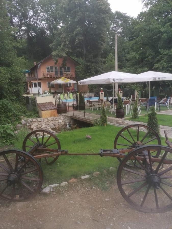 Casa De Vacanta Emd Ieşelniţa Buitenkant foto