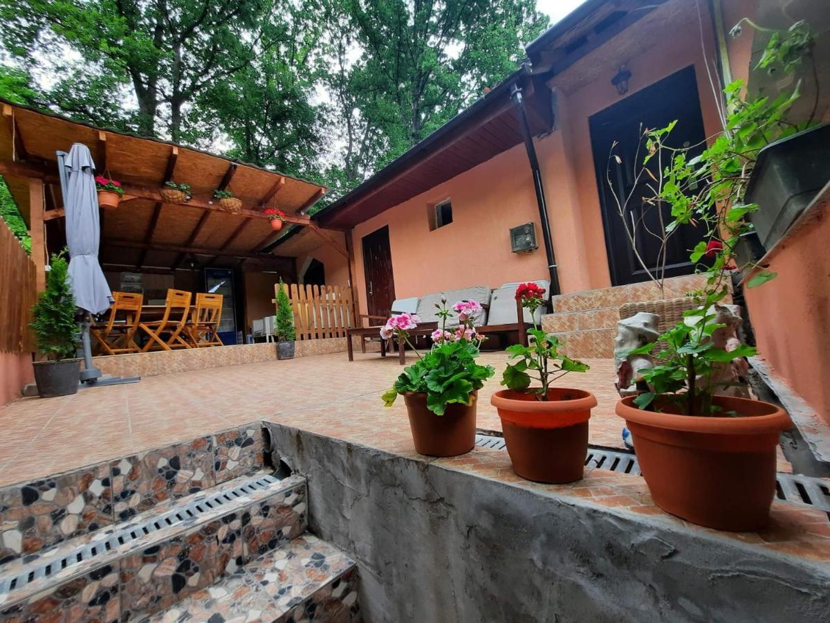Casa De Vacanta Emd Ieşelniţa Buitenkant foto