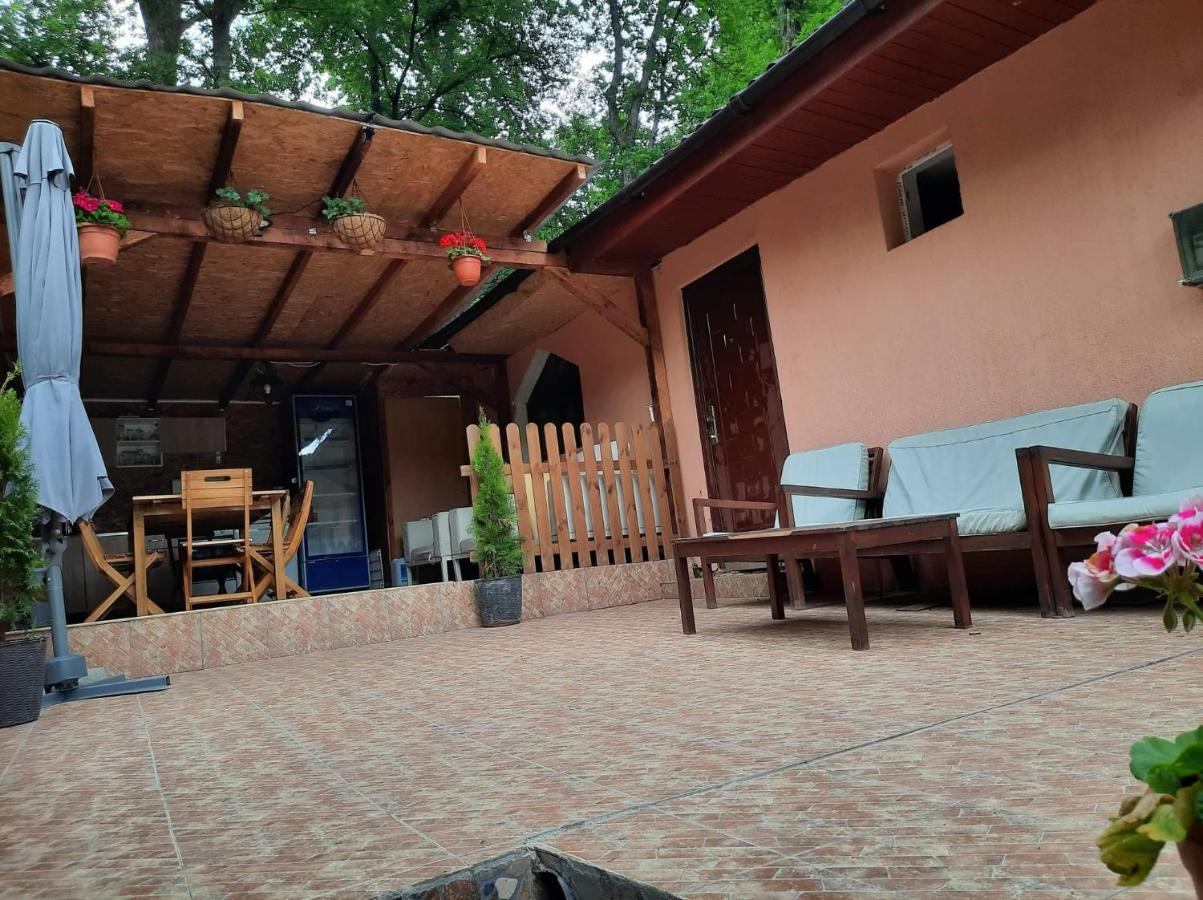 Casa De Vacanta Emd Ieşelniţa Buitenkant foto