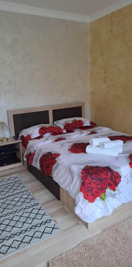 Casa De Vacanta Emd Ieşelniţa Buitenkant foto