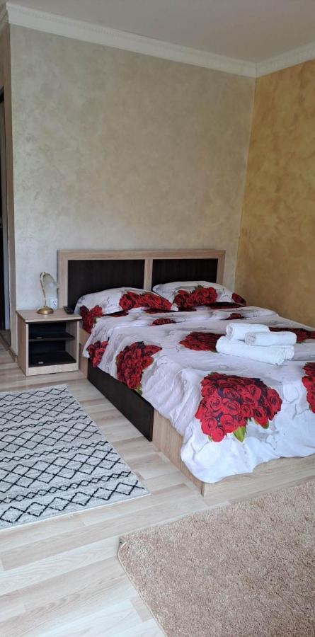 Casa De Vacanta Emd Ieşelniţa Buitenkant foto