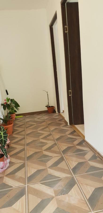 Casa De Vacanta Emd Ieşelniţa Buitenkant foto